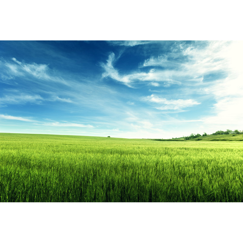 «Field of Barley» par Iakovkalinin - photographie sur toile tendue, L 18 po x H 12 po