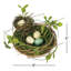 Nest with Eggs