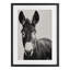 «Franz the Donkey», reproduction sous verre encadrée, design par Amy Carroll-157618252-157618254