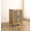 Armoire de rangement à chaussures à deux portes