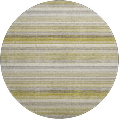  Premium Machine Washable Cerrito AMF535 Rug