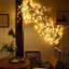 Holiday Lighting