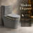 Dual-Flush Gray Silent Anti-Odor Toilet (Seat Included)