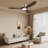 CEILING FANS LIGHT
