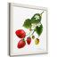 Strawberry Study II, reproduction d’art encadrée-243089450-243089460-239213638