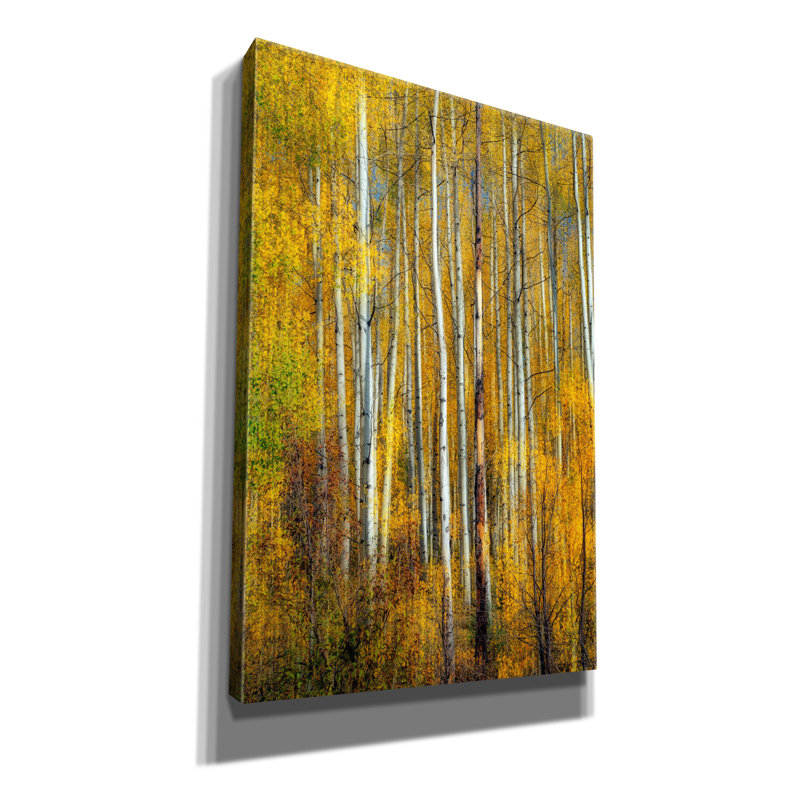 «Aspenglow Vi» par Rick Berk, art mural sur toile, H 18 po x l 12 po x P 0,75 po