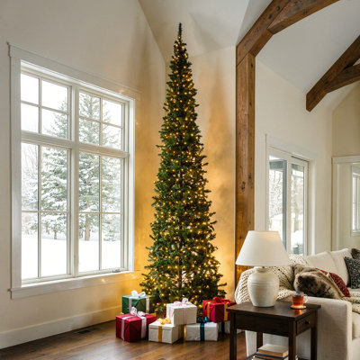 12ft. Royal Grove Fir Pencil Christmas Tree with Clear Lights