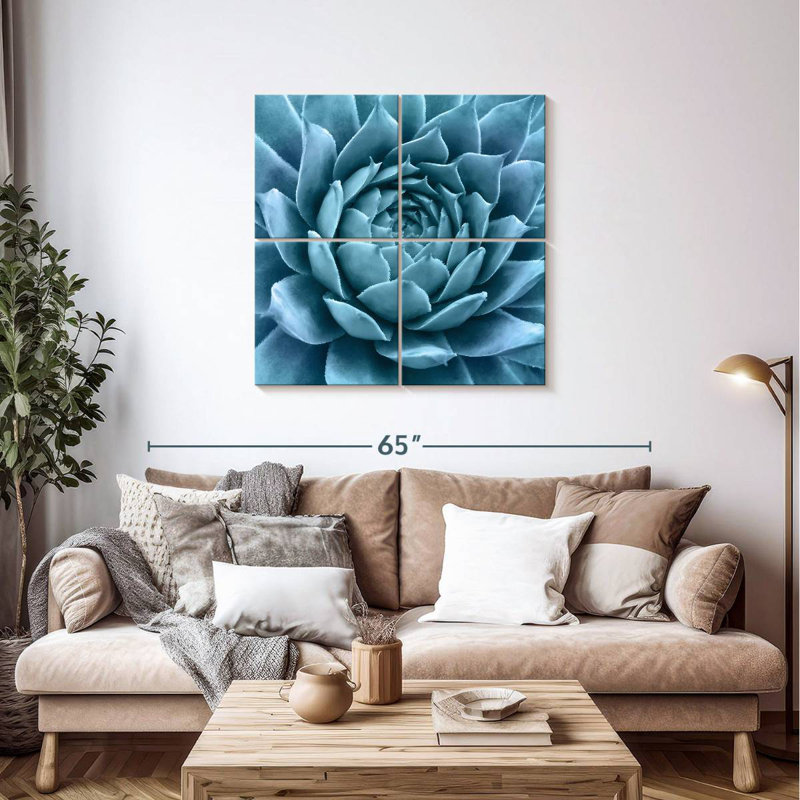 Agave bleu argenté Harnek, H 38 po x l 38 po