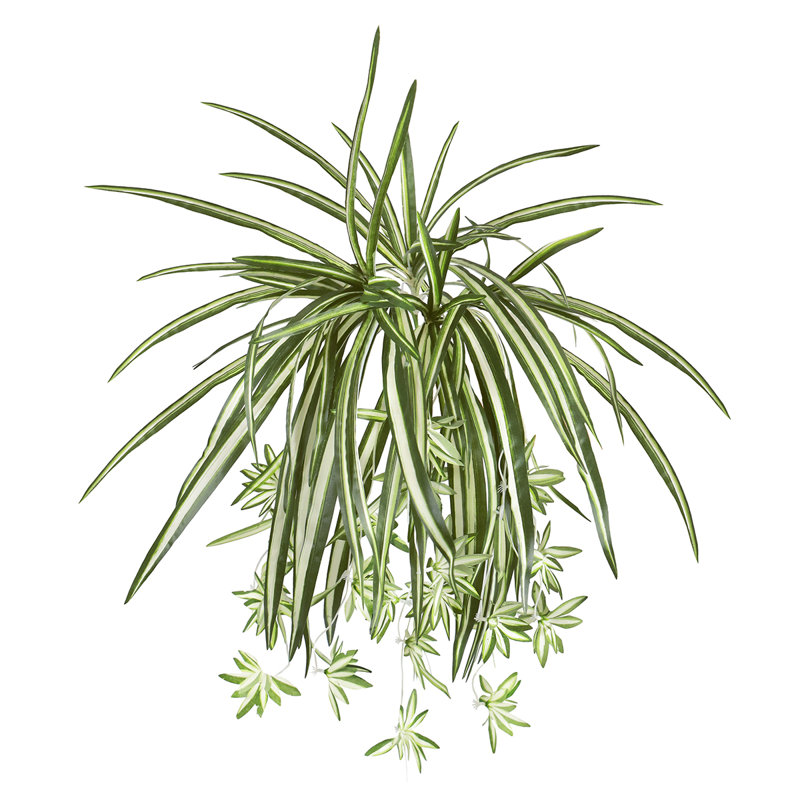 Plante araignée artificielle 26 po