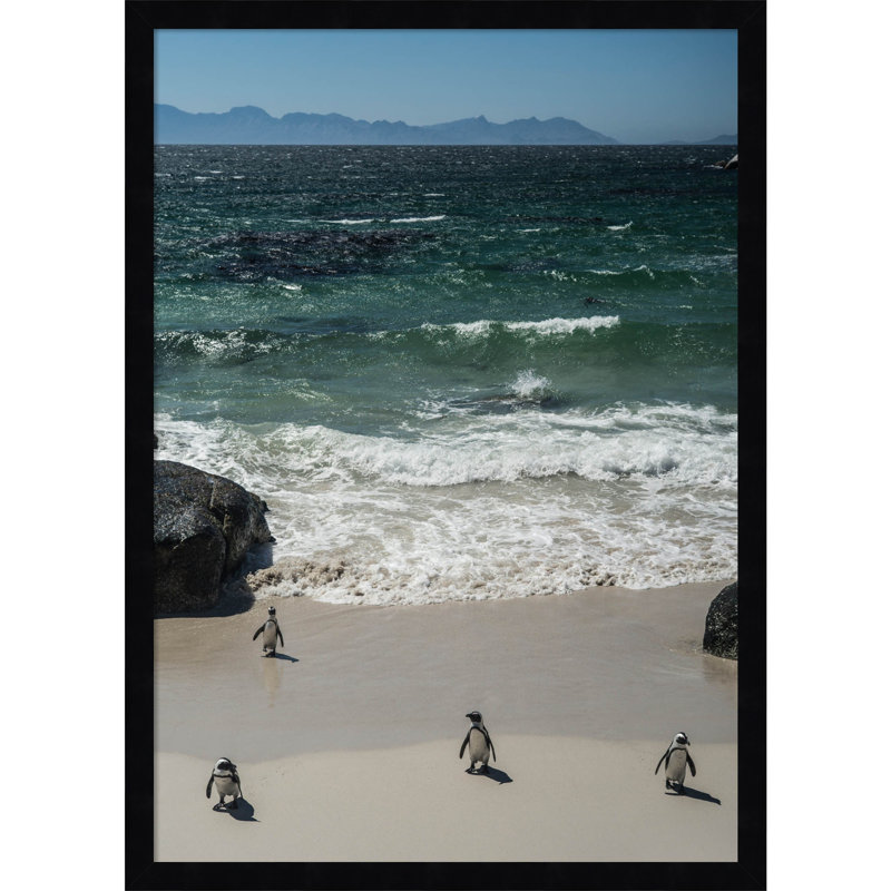 Coming In to the Beach by Shot by Clint Wood Framed Wall Art Print, 25" H x 18" W, Black