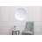 Caimen Mirror-47431621
