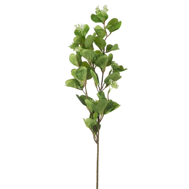 Jet d'eucalyptus 26,5 po - Vert