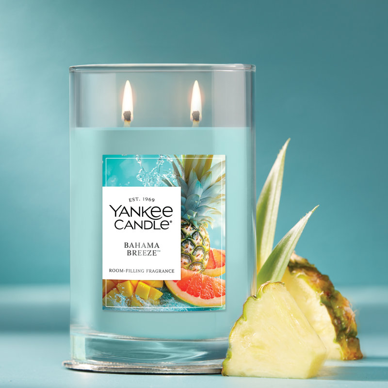  Sparkling Cinnamon Studio Scented Candle