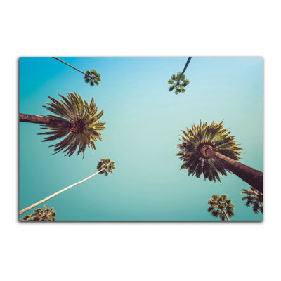 « palms », impression