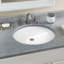 Dantesca® Vitreous China Oval Undermount Bathroom Sink with Overflow-1711175