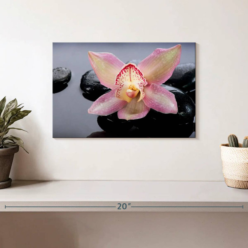 Orchidée délicate Harnek Zen, H 8 po x l 12 po