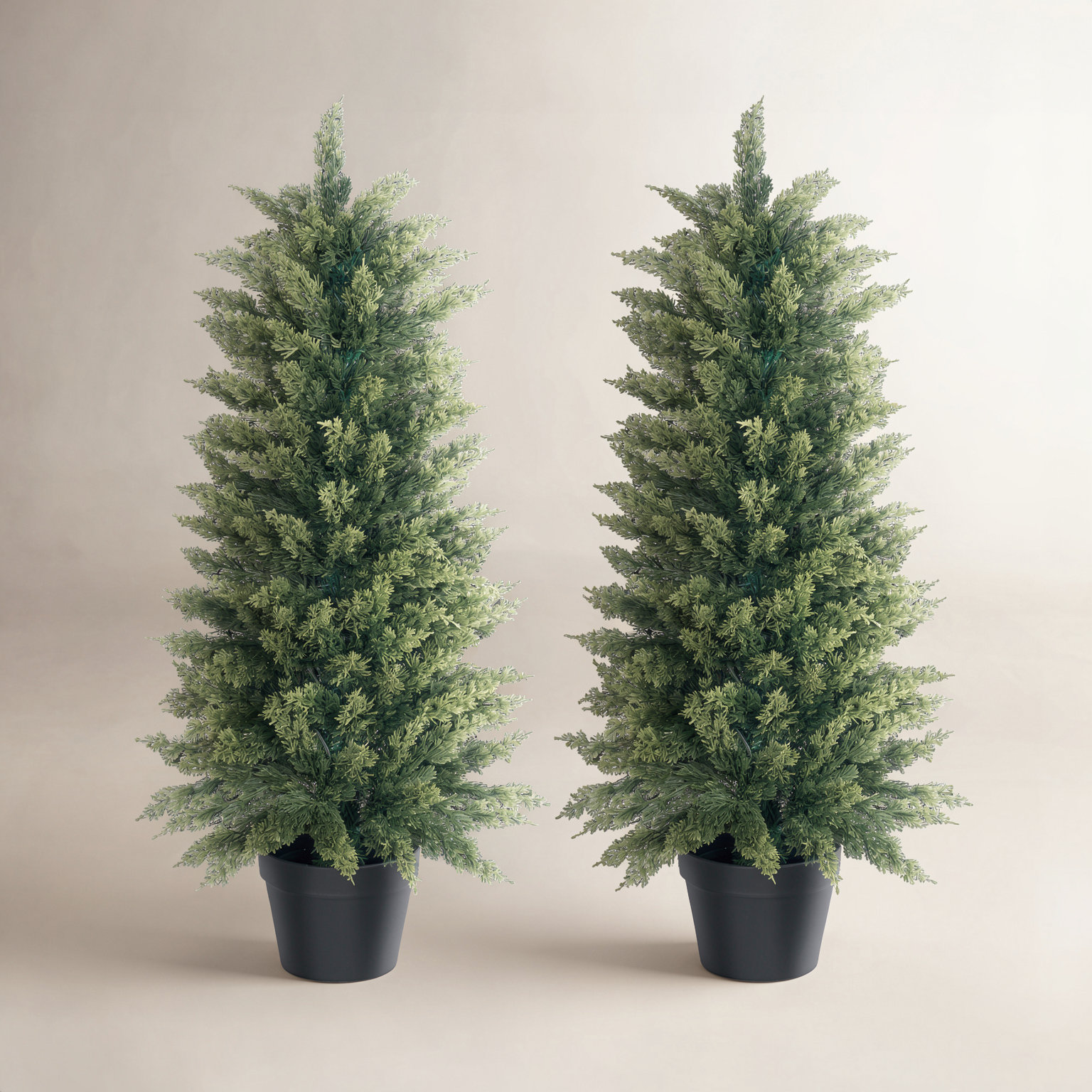 Cypress Topiary in Pot, 38'' H x 21'' W x 18'' D, 2