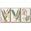 «Soft Tropical I», ensemble de 3 toiles encadrées-97710863-97710864
