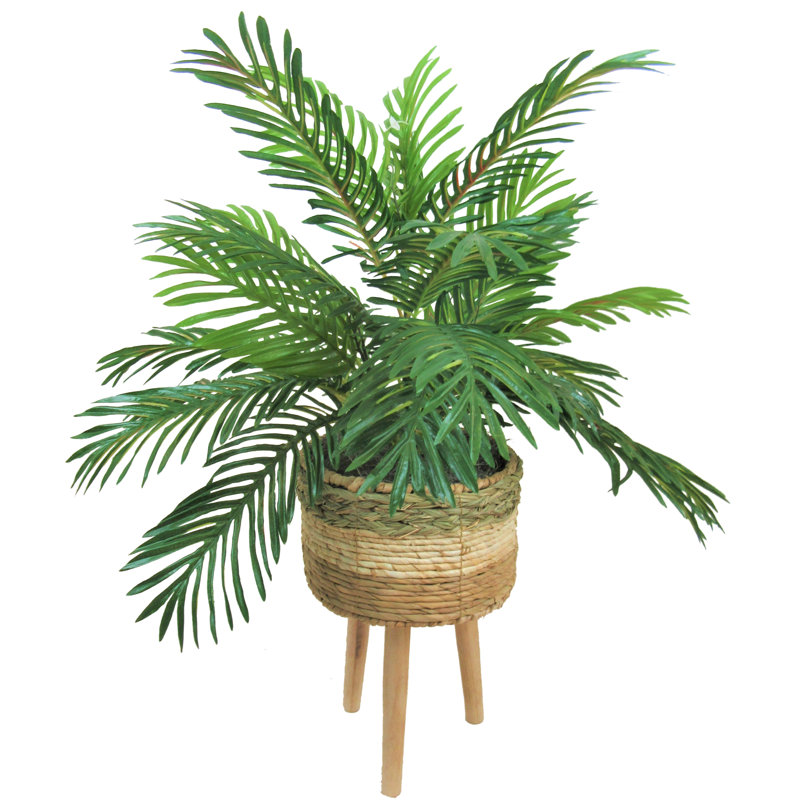 Palmier artificiel en panier Brierfield 23 po