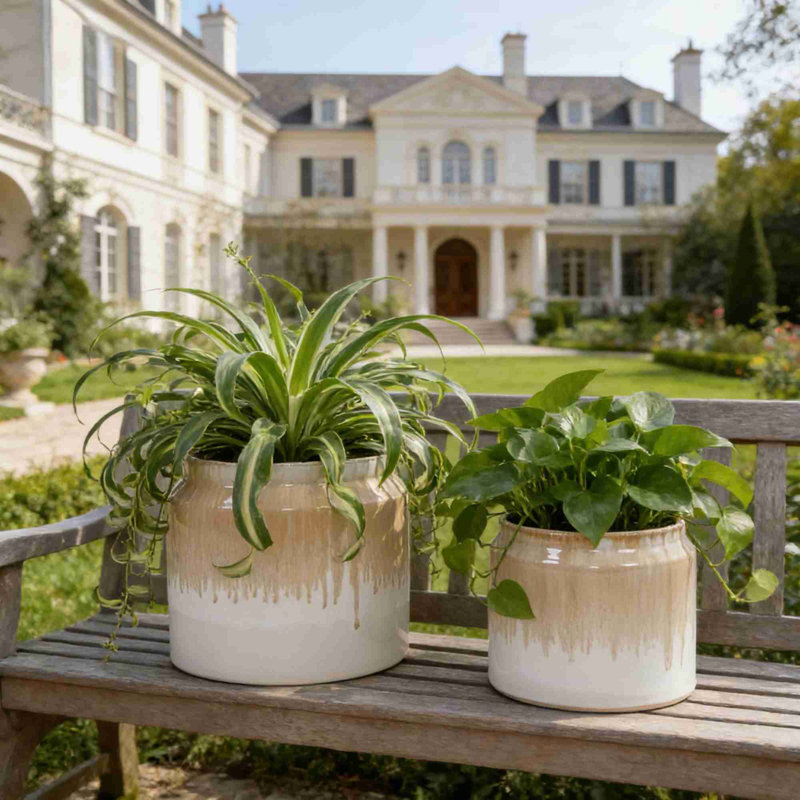 High-quality ceramic flower pots, Brown/White