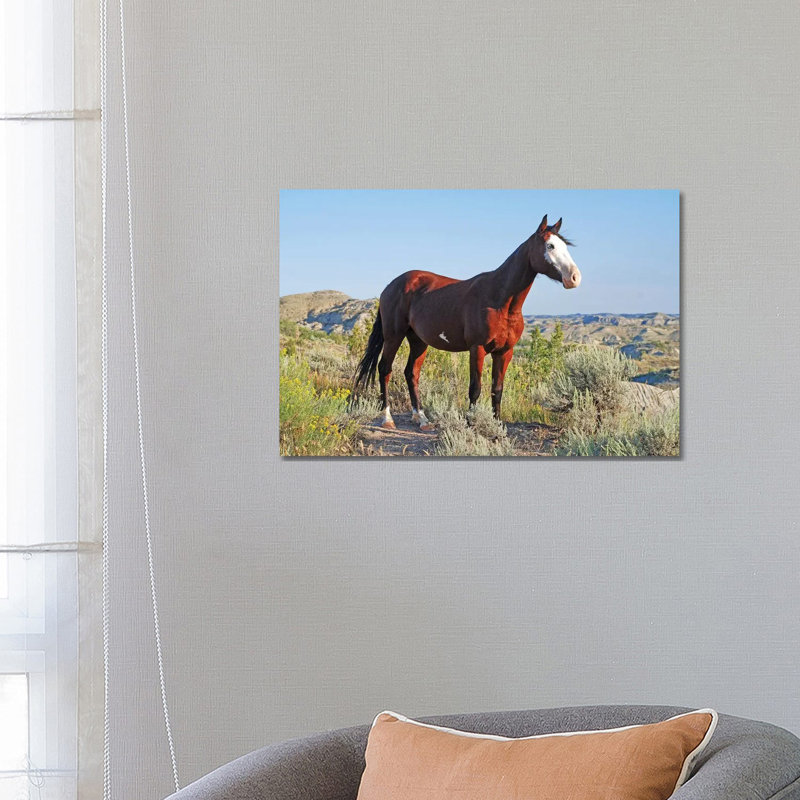 Blue Eye by Brian Wolf - Wrapped Canvas Print, 66.04 cm H x 45.72 cm W x 3.175 cm D