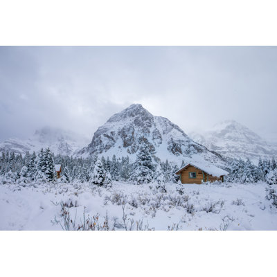 Snow by Spondylolithesis - Wrapped Canvas Print