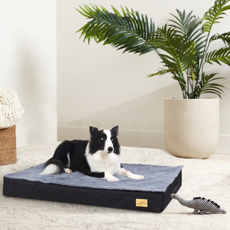 Orthopedic Pet Bed, 8cm H x 92cm W x 56cm D
