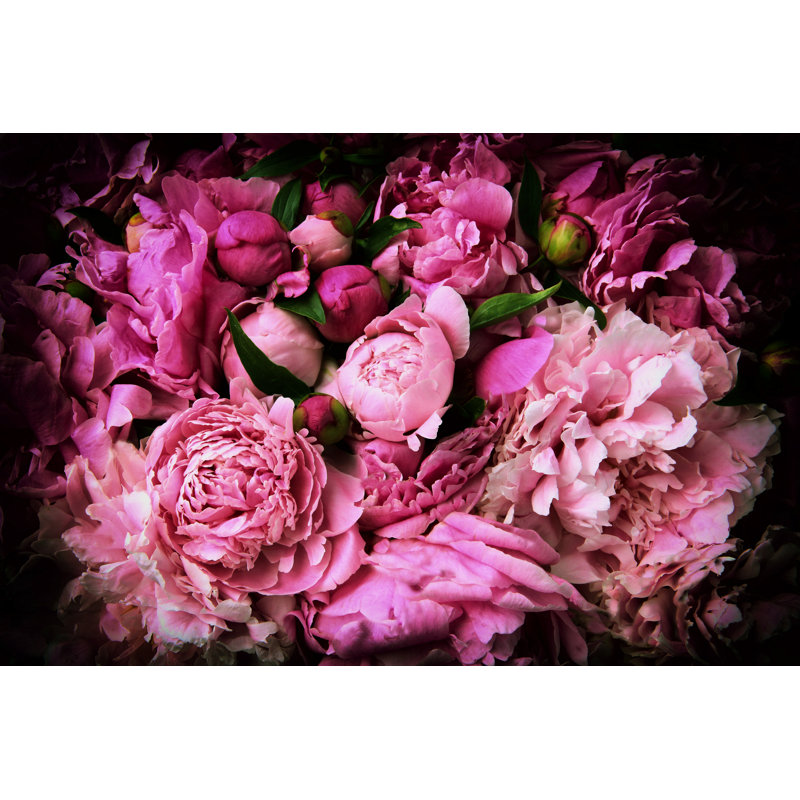 Peony - Wrapped Canvas Print, 20cm H x 30cm W x 3.8cm D