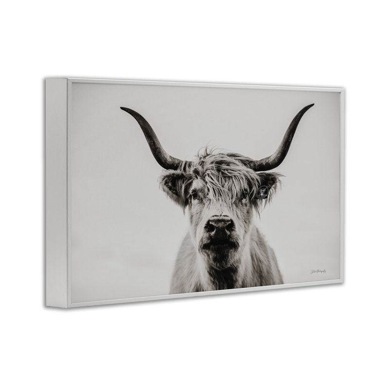 Portrait de bovins calmes, estampe numérique par Dakota Diener, Giclée encadrée blanc bord de mer, H 16 po x l 24 po