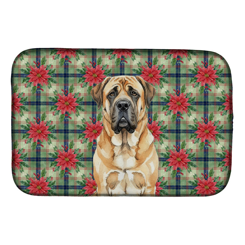 Tapis de séchage pour abricot