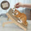 Scratching Post