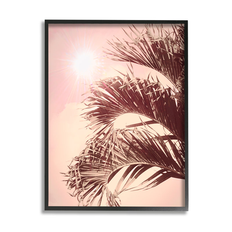 «Pink Sunlit Palm Fronds» encadré sur bois par Graffi *, photographie de Tee Studios, Giclée encadrée noir minuit