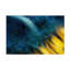 Art sur toile «bol Masaki Sugita»-105649297
