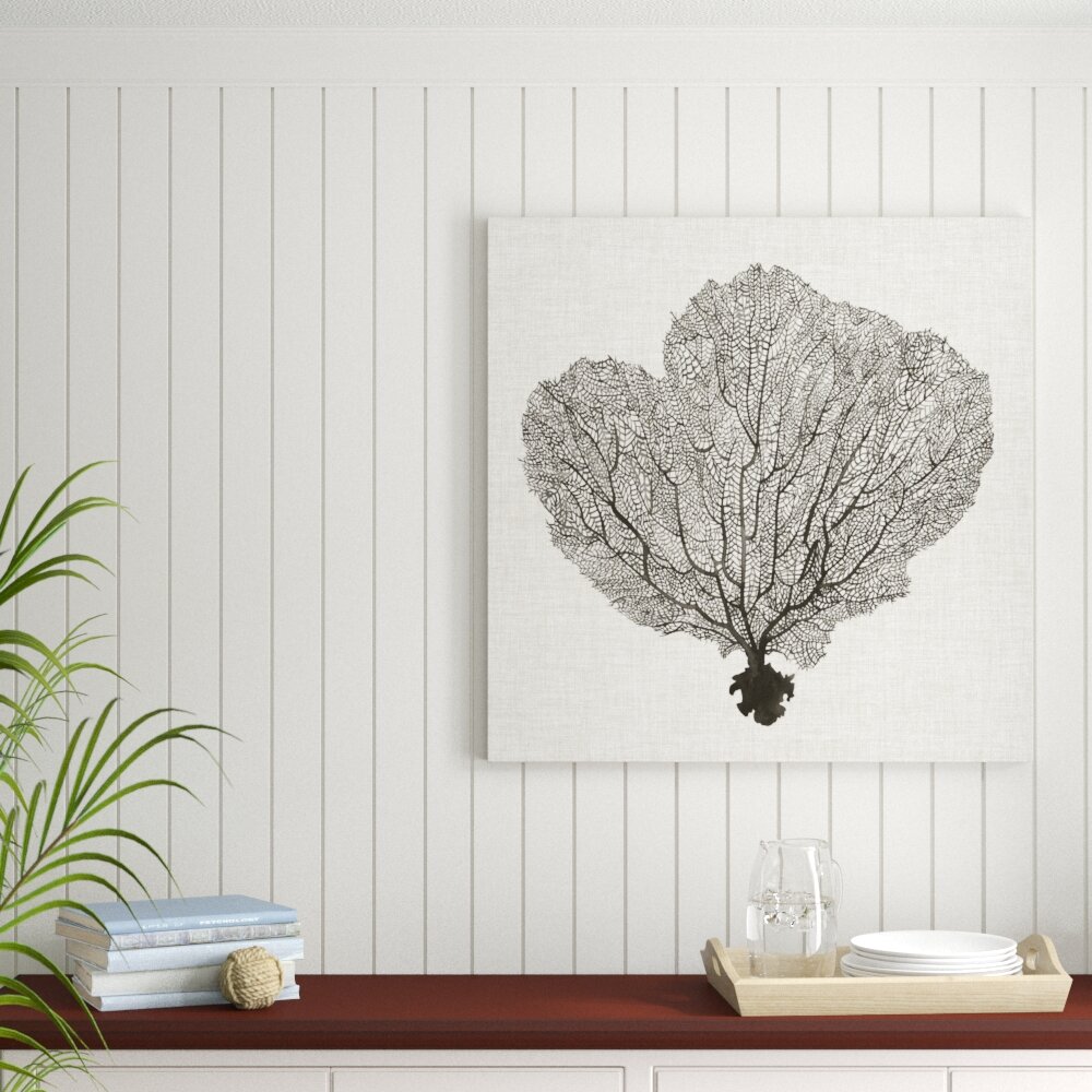 Leinwandbild "Shadow Sea Fan I" von Grace Popp