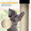 Macedonia 170.2cm H Cat Tree