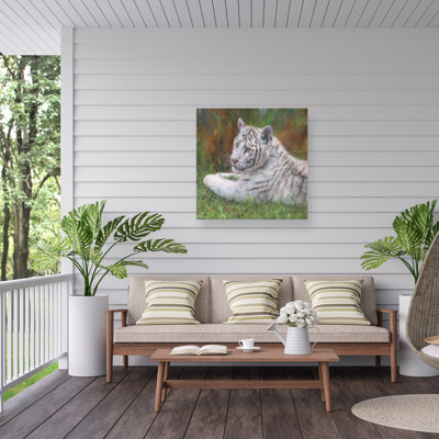 Toile d'extérieur David Stribble White Tiger Cub