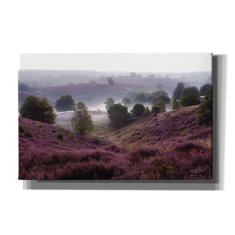 Oh Yeah by Martin Podt - Wrapped Canvas Photograph, 26" H x 40" W x 1.5" D