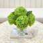 Hydrangea Centerpiece In Vase-407313094