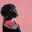 «Standard Black Poodle», reproduction d'art sur toile tendue-19733541-74741284-74741285