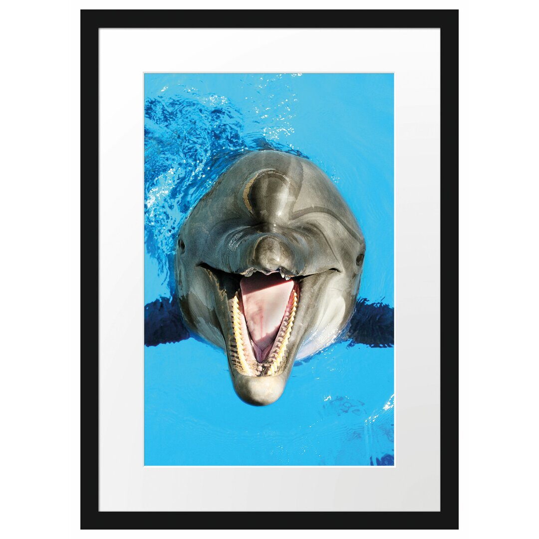 Gerahmtes Poster Delfin lacht