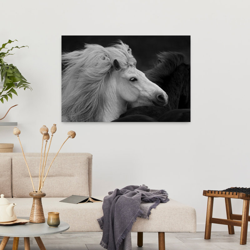 Art mural majestueux à crinière blanche contemporaine, H 24 po x l 36 po
