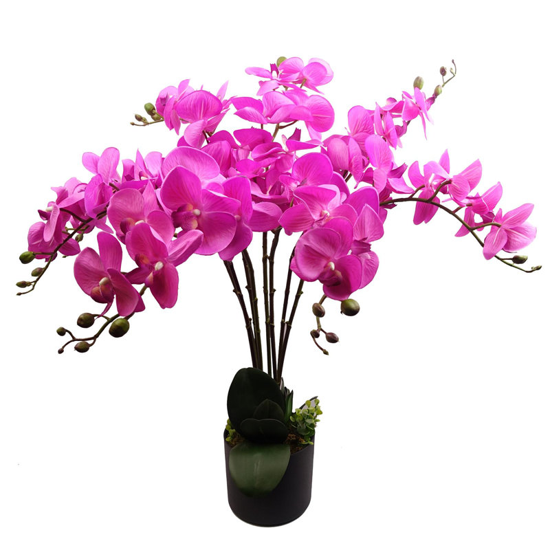 Plastic, Silk Orchid Arrangement in Pot