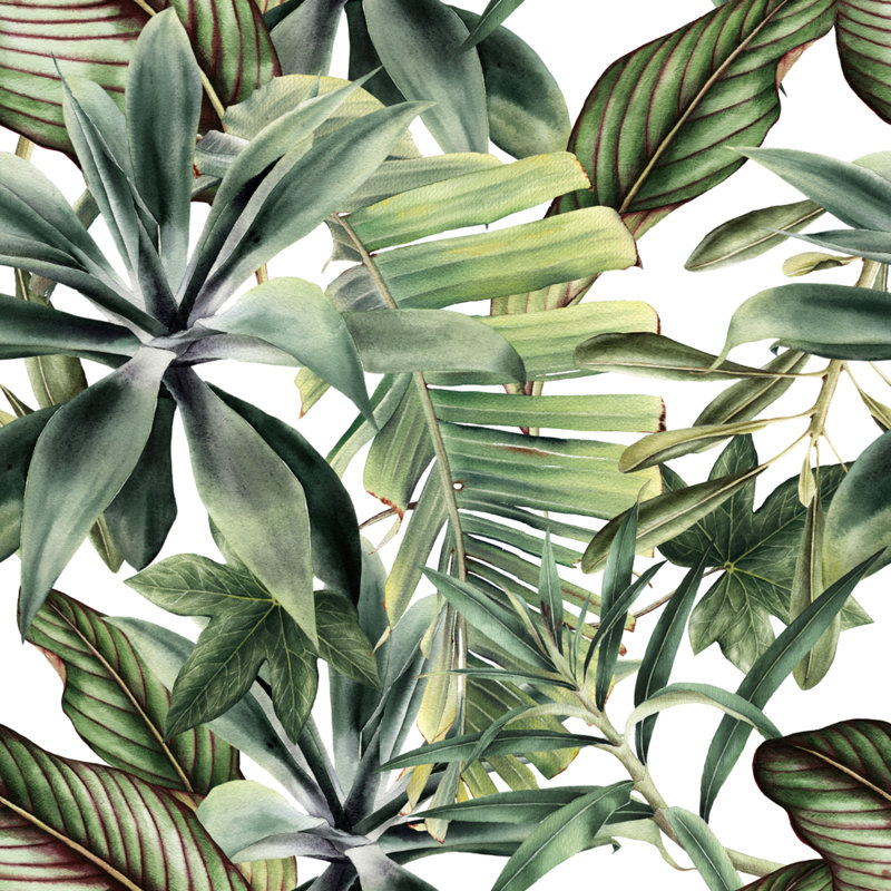 Papier peint amovible à motif floral Botanical Leaves, L 35,04 po x l 55 po