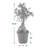 13'' Ficus Plant-63969260