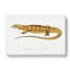 Yellow Monitor Lizard by John Edward Gray - Wrapped Canvas-55320165