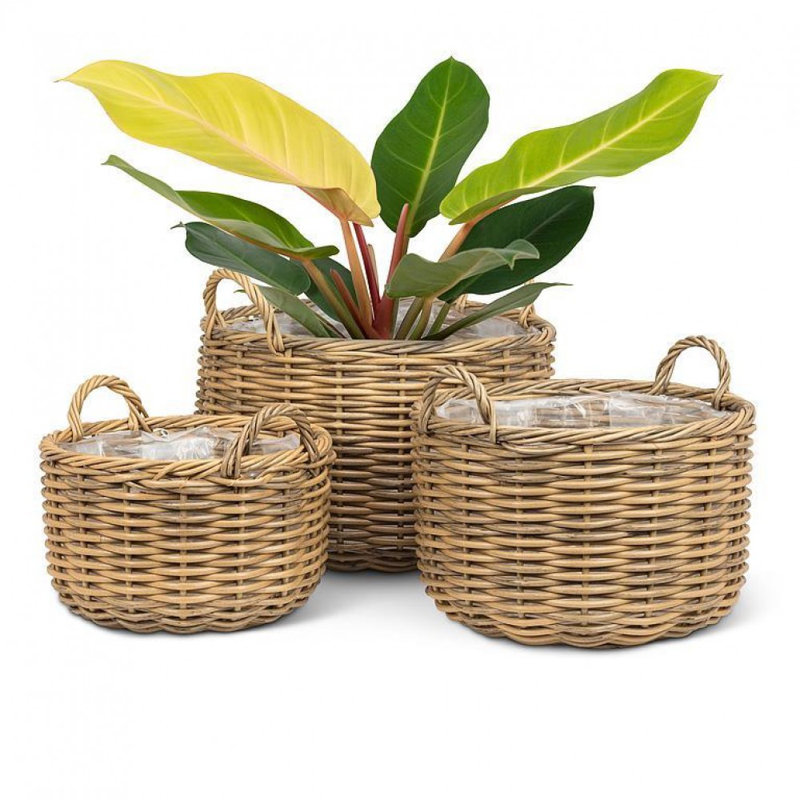 Ensemble de 3 paniers imbriqués en saule avec poignées