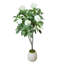 Hortensia dans un pot en pierre décoratif