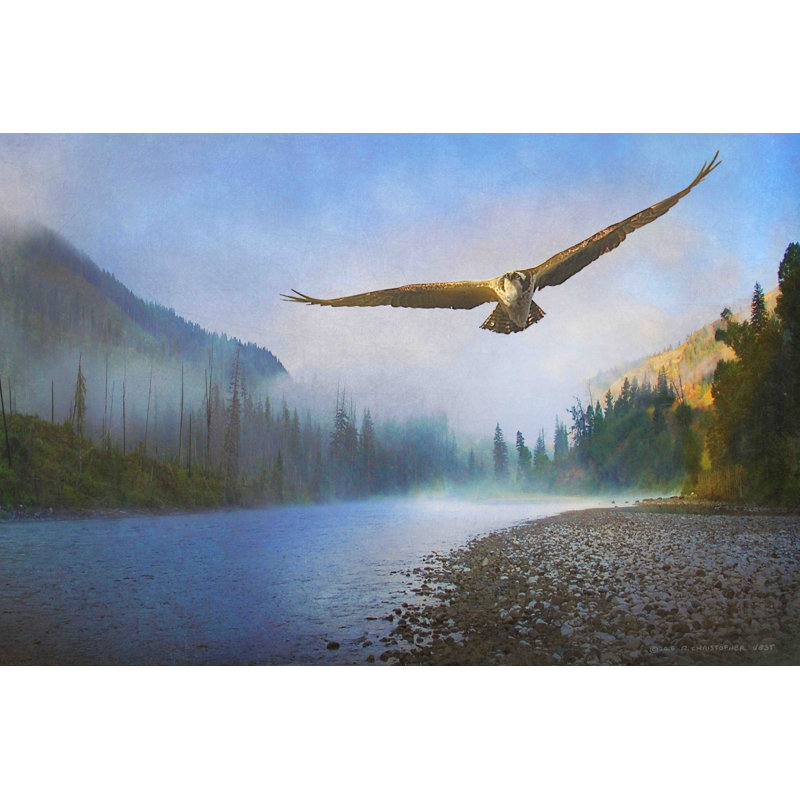 Chris Vest - Wrapped Canvas Print, 101cm H x 152cm W x 3.81cm D