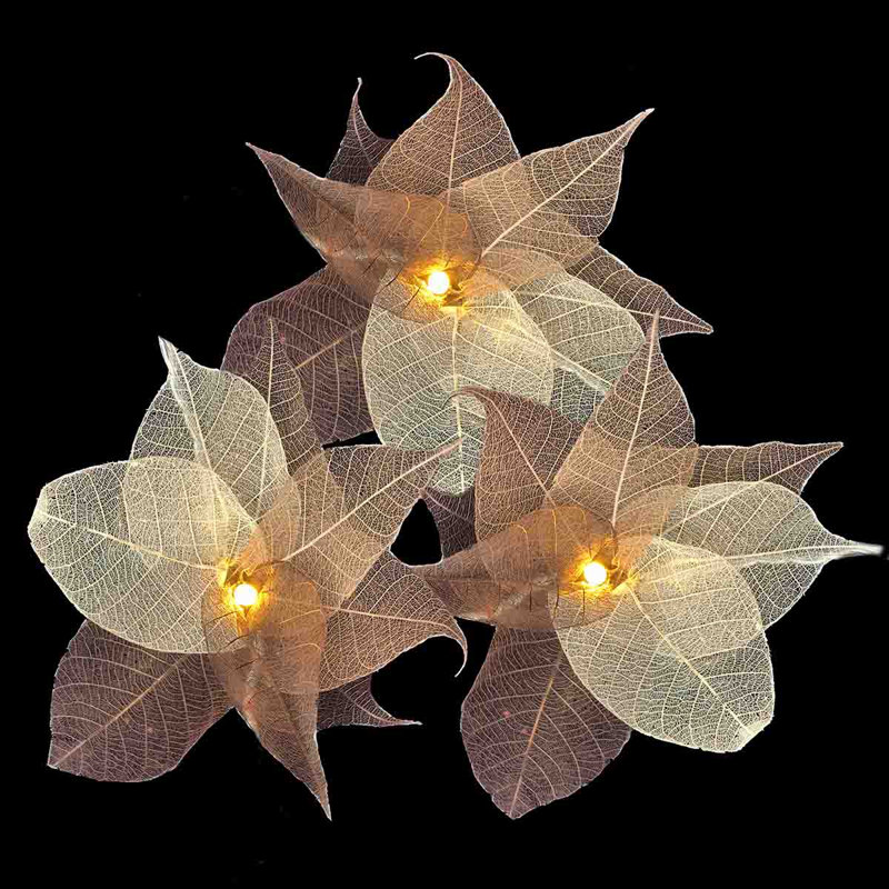 Bartok LED Natural Leaf String Light, 20 Lamps - 5 Metre Long