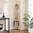 Donnellson Corner Bookcase